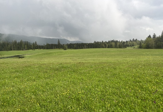 23-05-23 13-31-22 5601